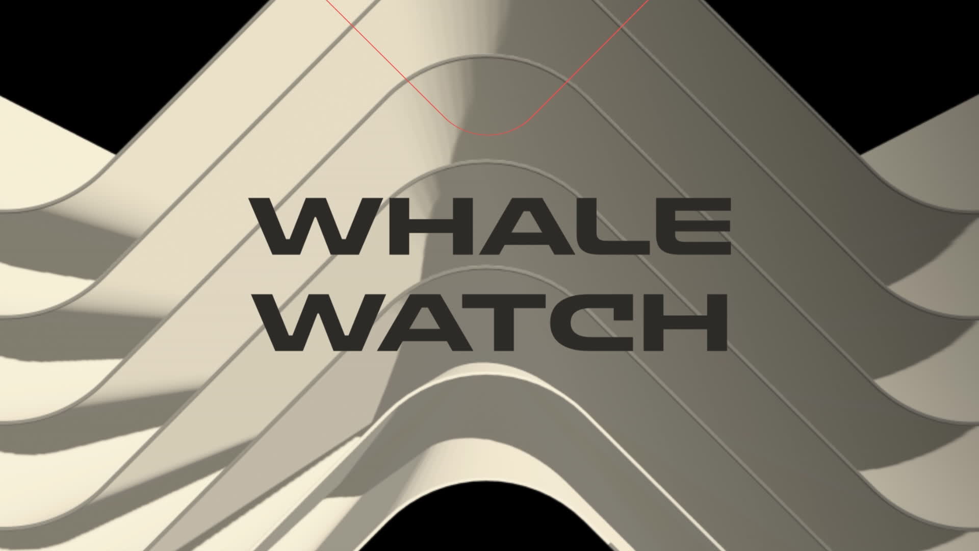 Whale Watch - Alexandra Park, October 16th 2026